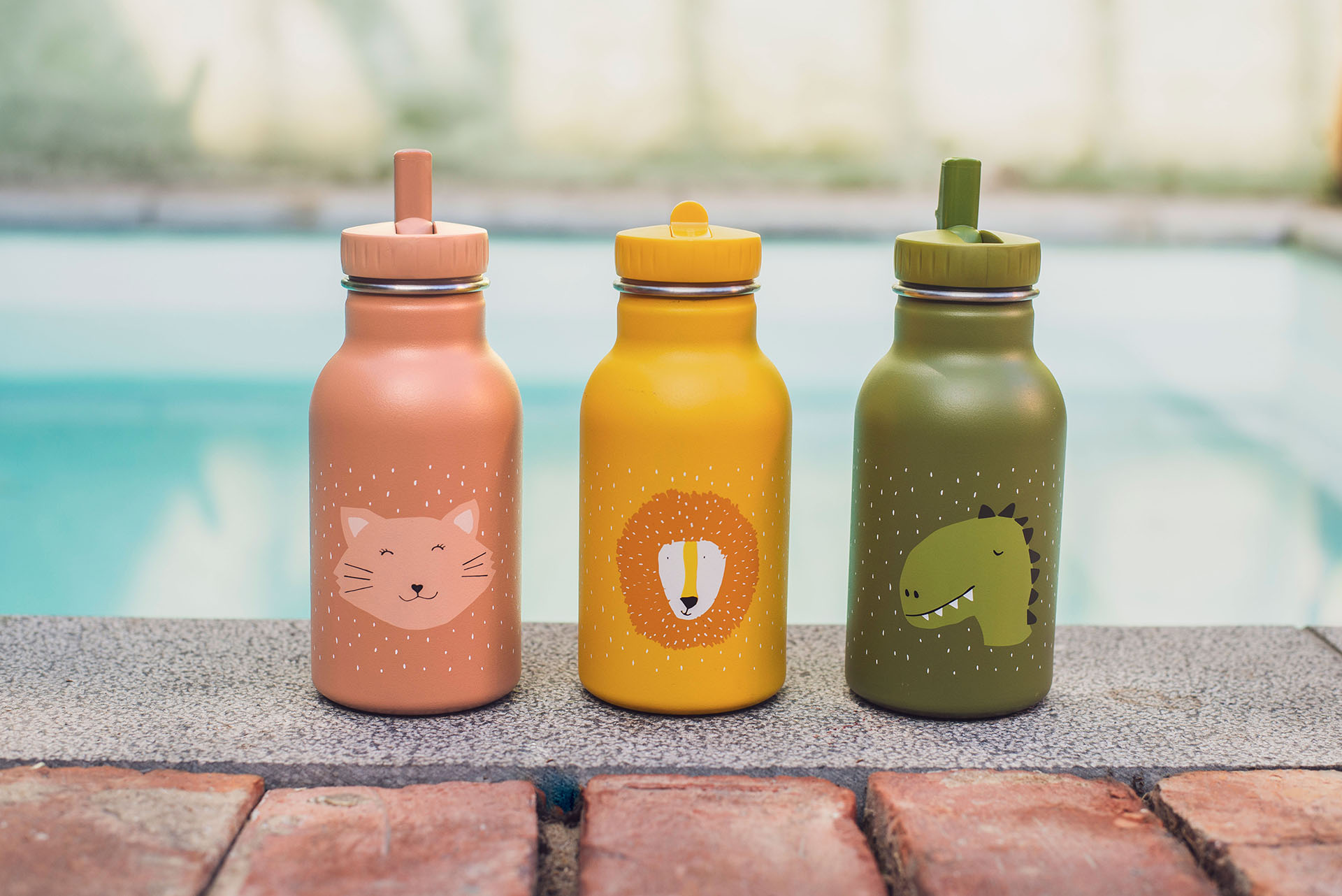 Insulated drinking bottle 350ml - Mr. Dino
